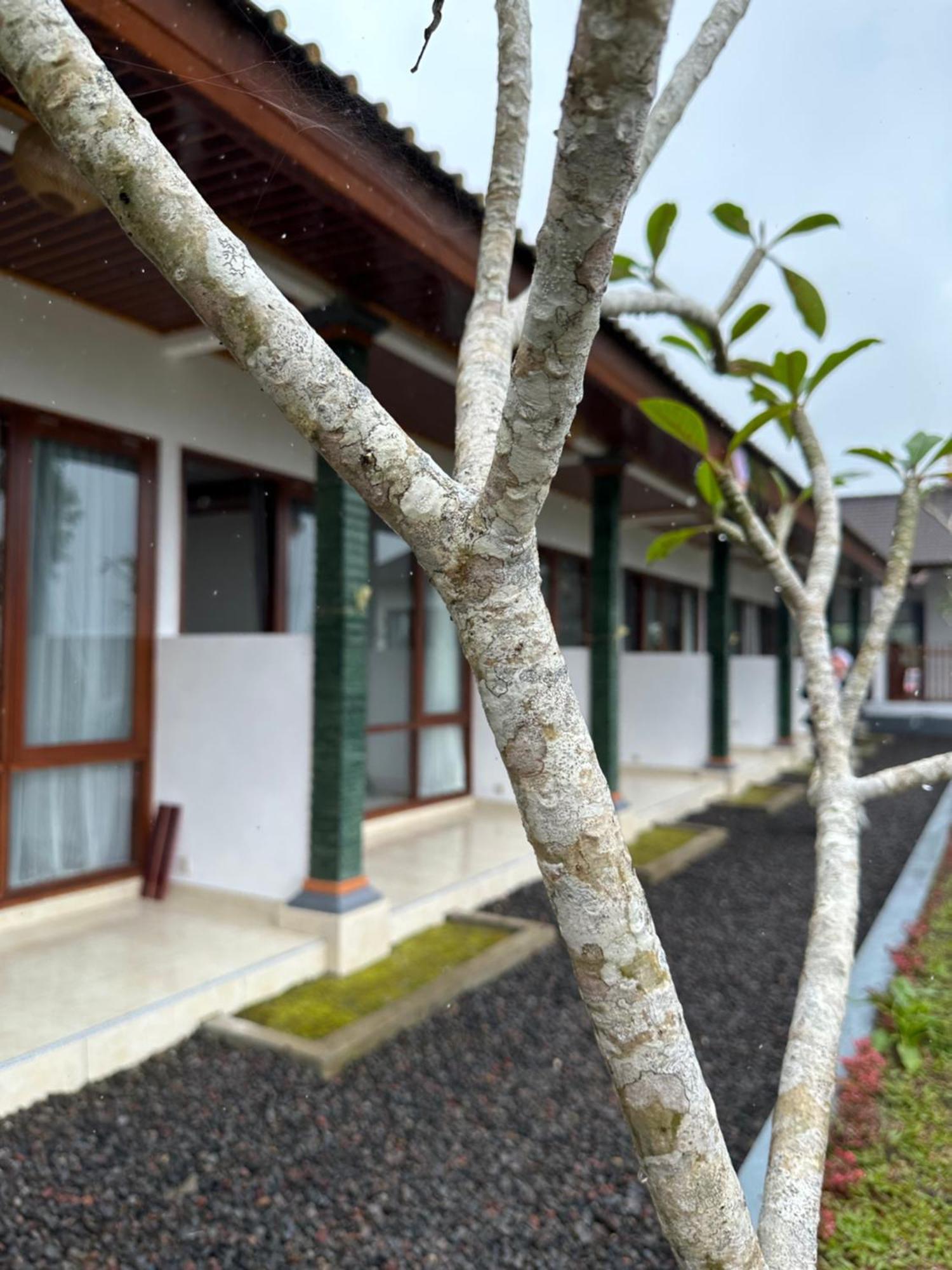 Bali Basuki Retreat Center Lägenhet Besakih Exteriör bild