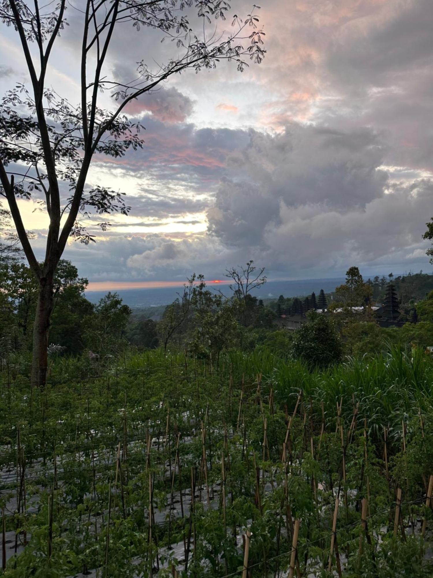 Bali Basuki Retreat Center Lägenhet Besakih Exteriör bild